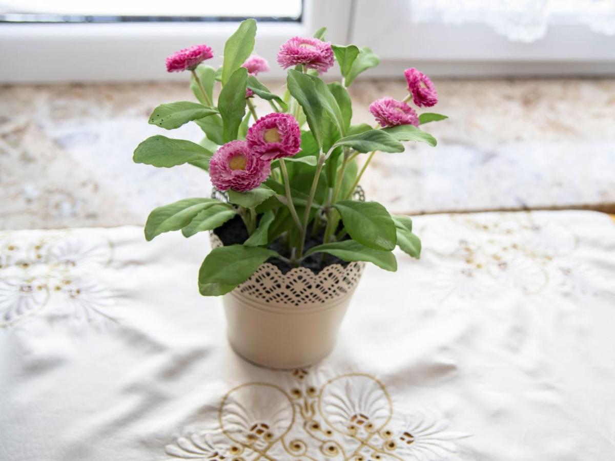 Dw Maria 2 Bed and Breakfast Zakopane Exteriör bild